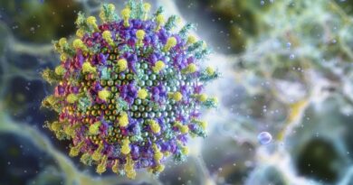 Ministério da Saúde diz que vírus Nipah não ameaça o Brasil