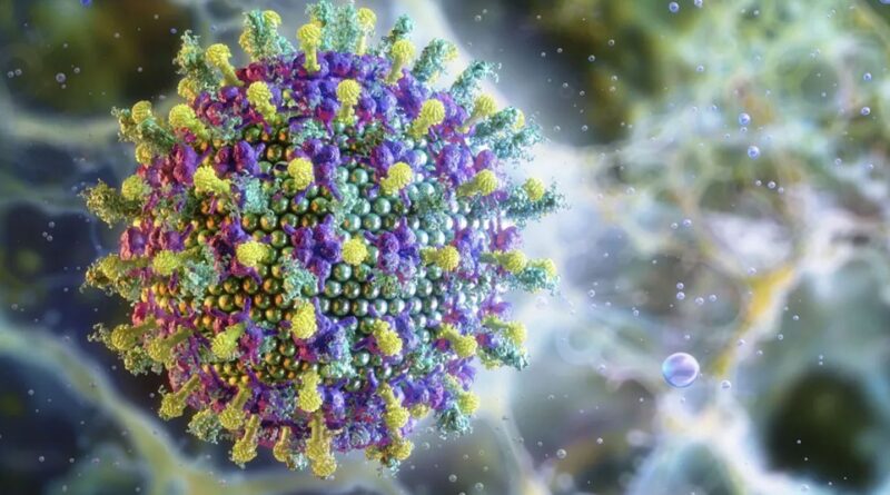 Ministério da Saúde diz que vírus Nipah não ameaça o Brasil